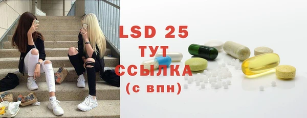 ГАЛЛЮЦИНОГЕННЫЕ ГРИБЫ Алзамай