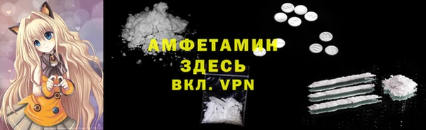 ГАЛЛЮЦИНОГЕННЫЕ ГРИБЫ Алзамай