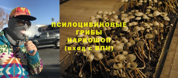 ГАЛЛЮЦИНОГЕННЫЕ ГРИБЫ Алзамай