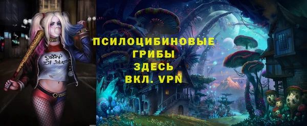 ГАЛЛЮЦИНОГЕННЫЕ ГРИБЫ Алзамай