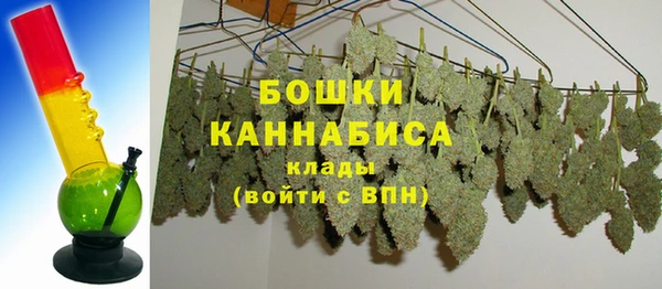 ГАЛЛЮЦИНОГЕННЫЕ ГРИБЫ Алзамай