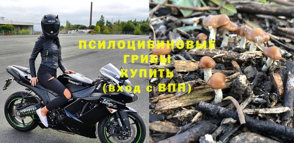 первитин Алексеевка
