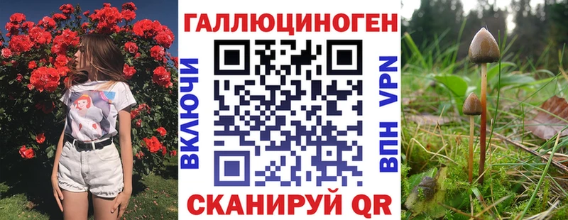 Псилоцибиновые грибы Psilocybine cubensis Каменногорск
